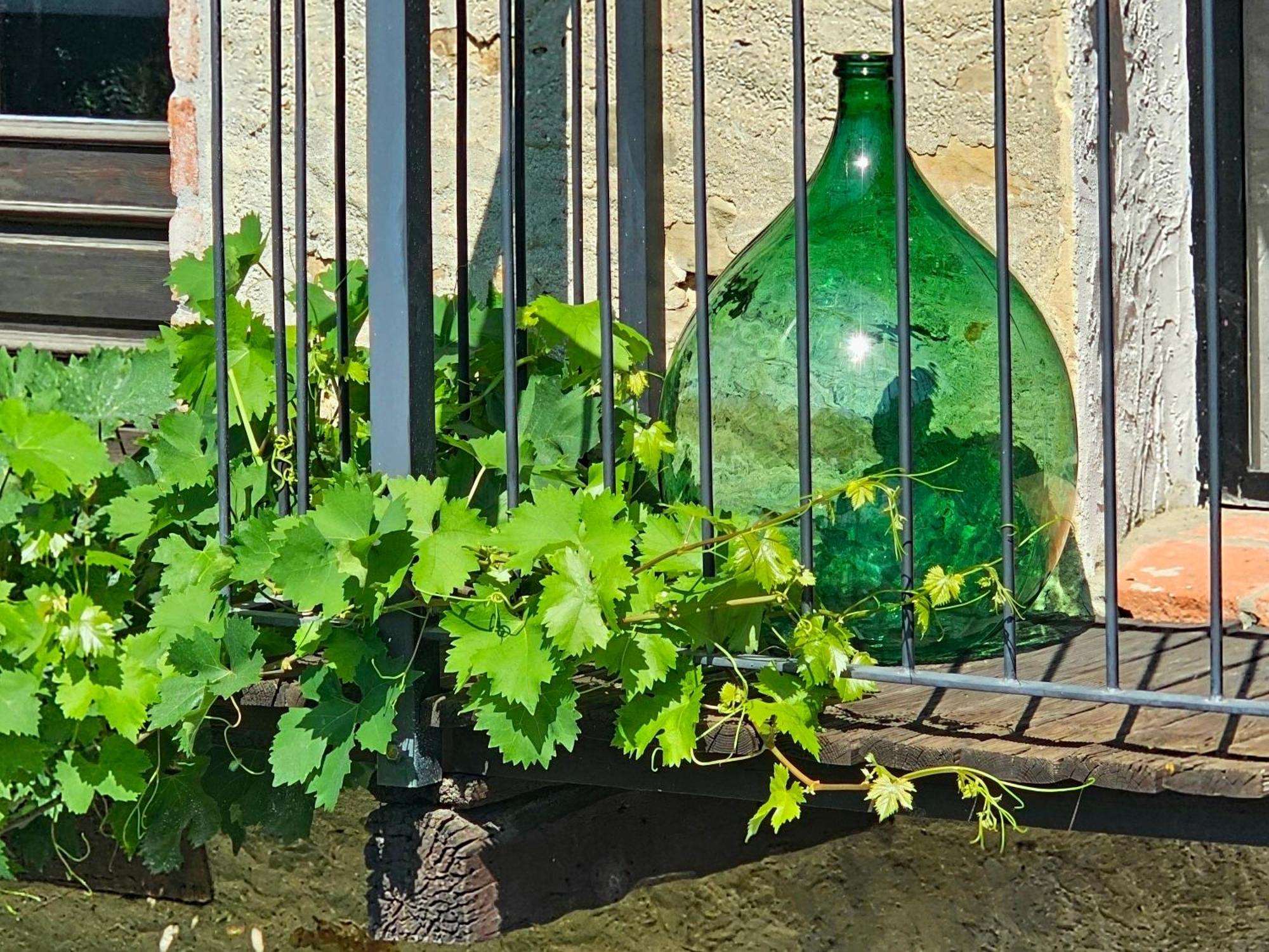 Cascina Il Sogno Bed and Breakfast Cossano Belbo Εξωτερικό φωτογραφία